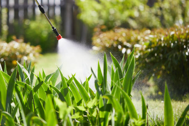 24/7 Emergency Mosquito Control experts in Rye Brook, NY