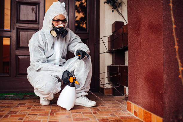 Reliable Mosquito Control contractor in Rye Brook, NY by Show Me Pest Control