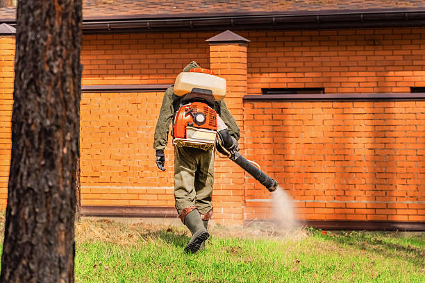 Top rated local Mosquito Control specialists in Rye Brook, NY
